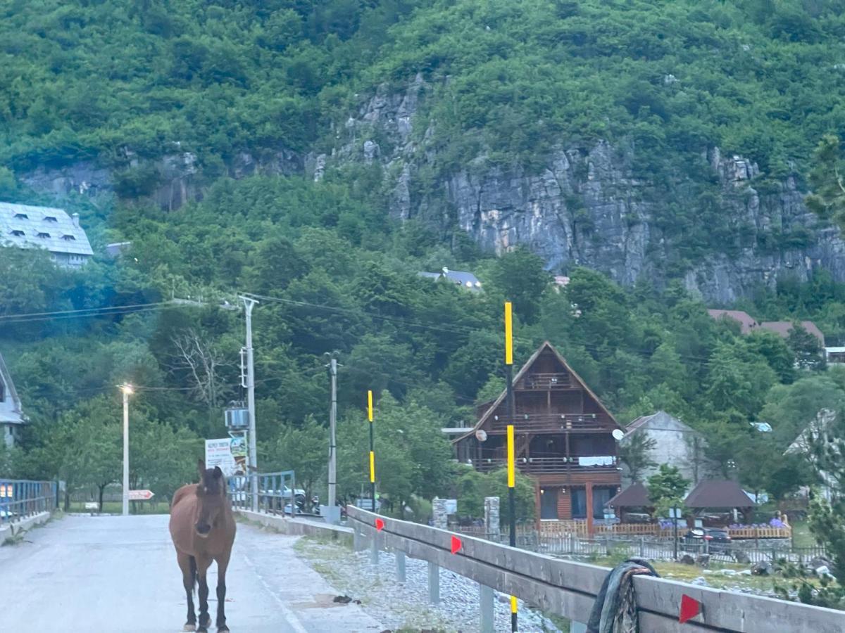 Guesthouse Villa Gurra Theth Dış mekan fotoğraf